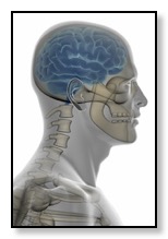 Relationship between oral health, dentistry, and physical health, neck, jaw, back, mental health